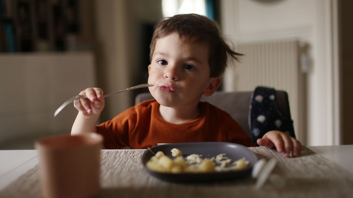 Comer, pensar, sentir: cómo la microbiota mejora la conducta y el aprendizaje en niños con trastornos del desarrollo