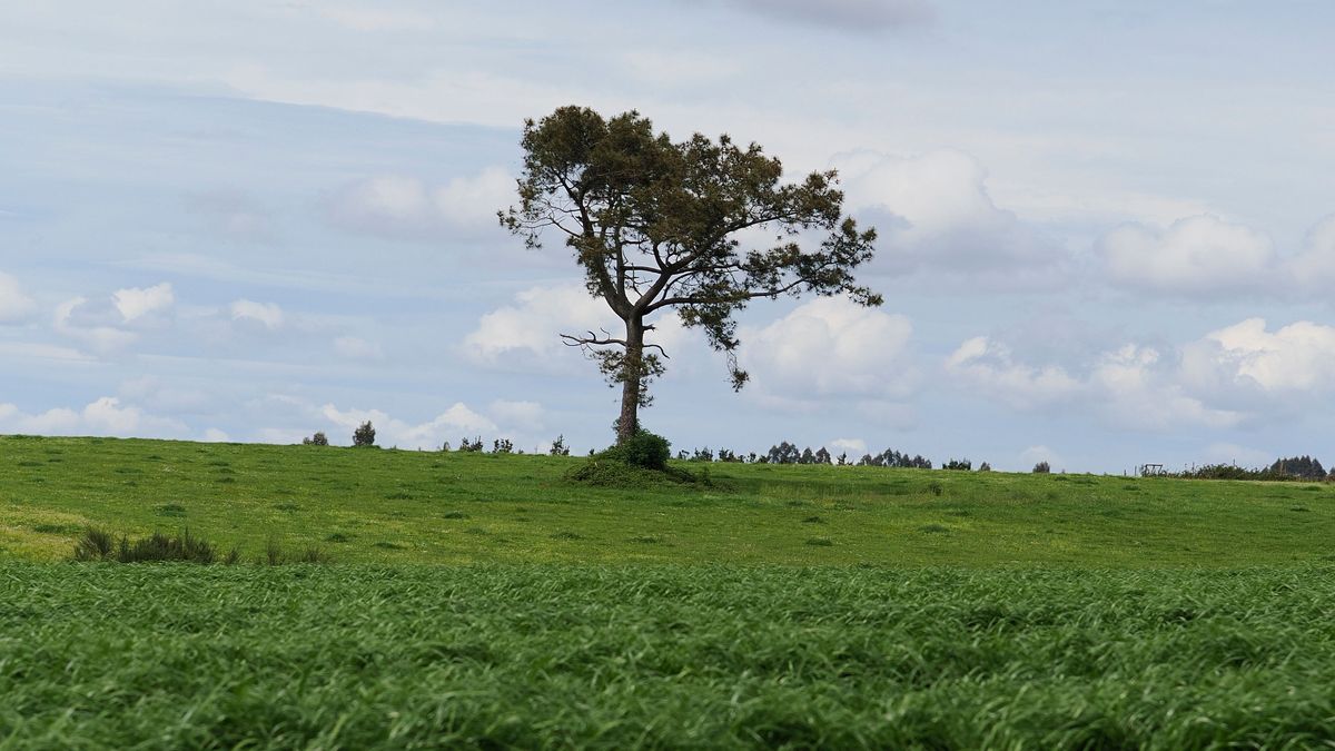 Mayo empezará con ambiente más fresco y lluvias en el noreste de España