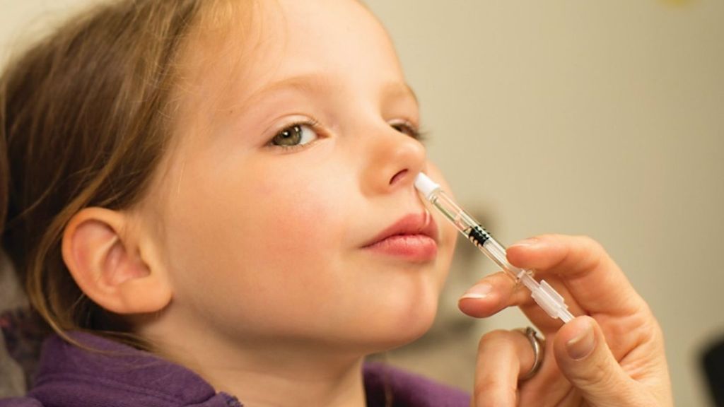 La Sanidad valenciana administrará a los menores de entre 2 y 5 años la vacuna intranasal contra la gripe