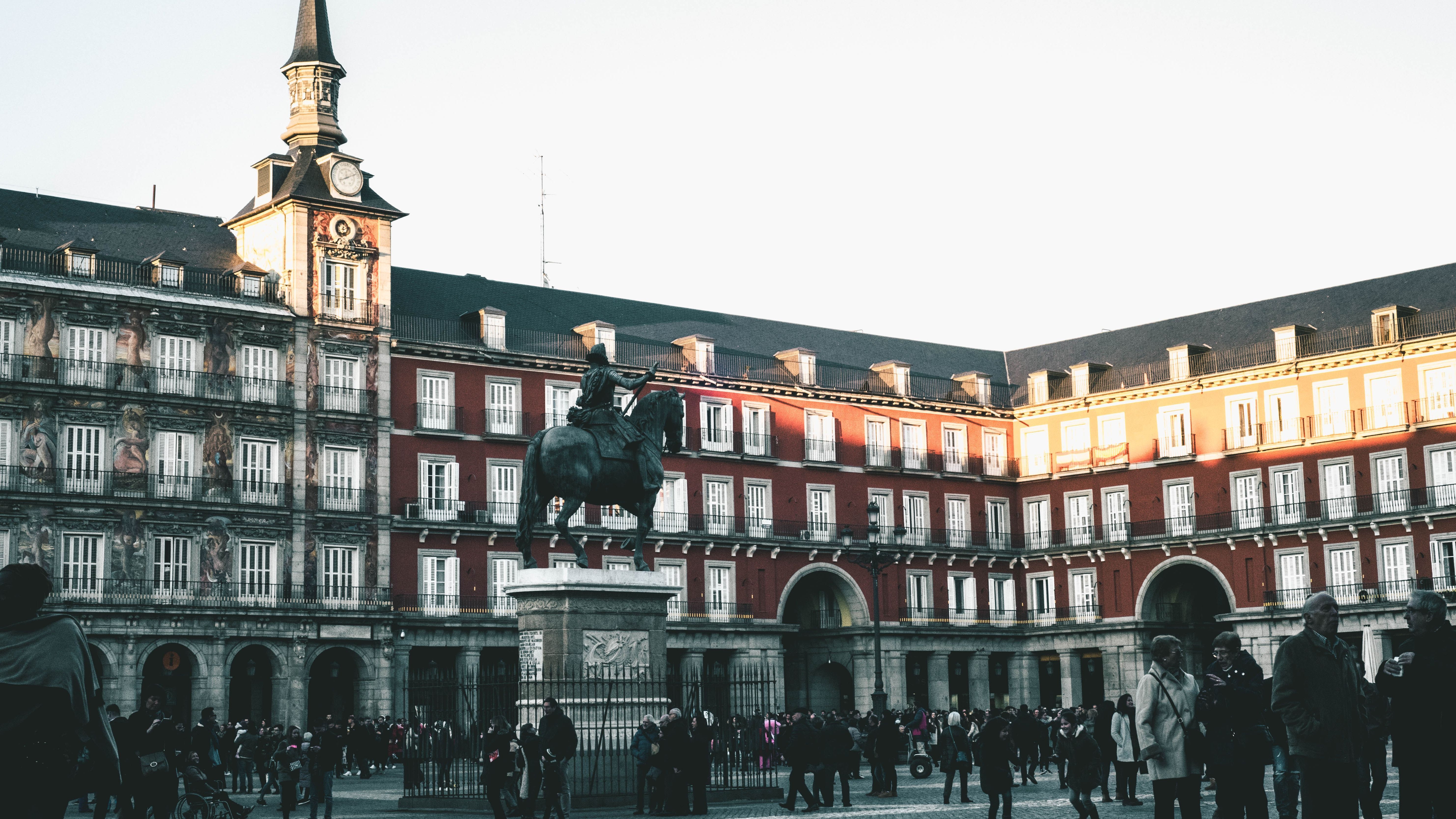 pexels mati angulo 930595