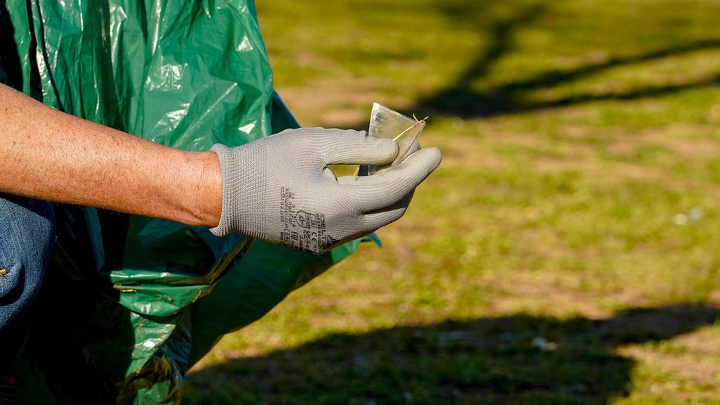 Recogida de basura en un parque de Sevilla