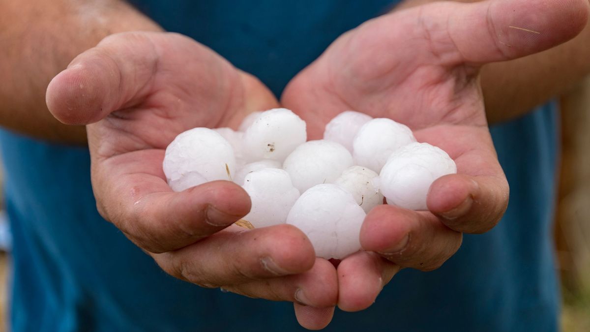 Un agricultor sostiene en sus manos piedras de granizo