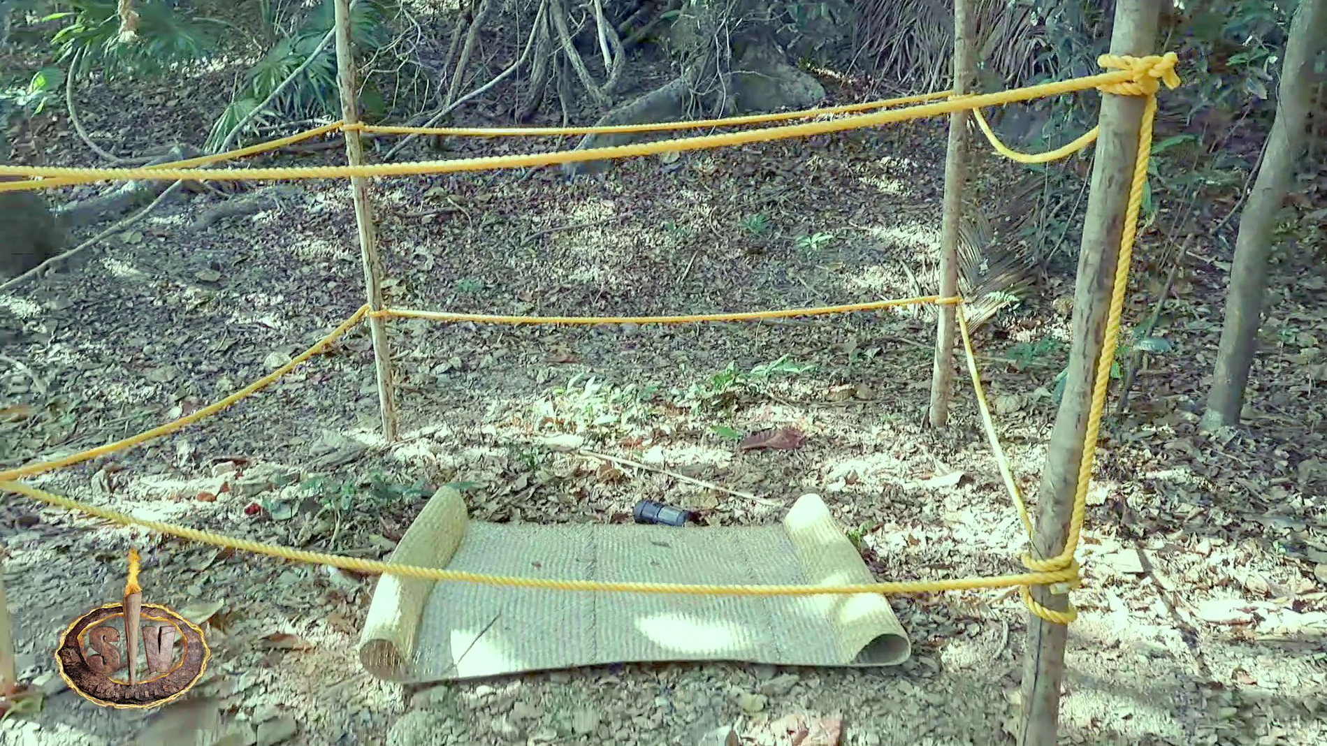 El corralito de Alma Bollo