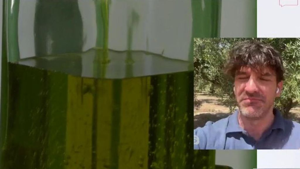 Los agricultores avisan: España podría quedarse sin aceite de oliva este otoño