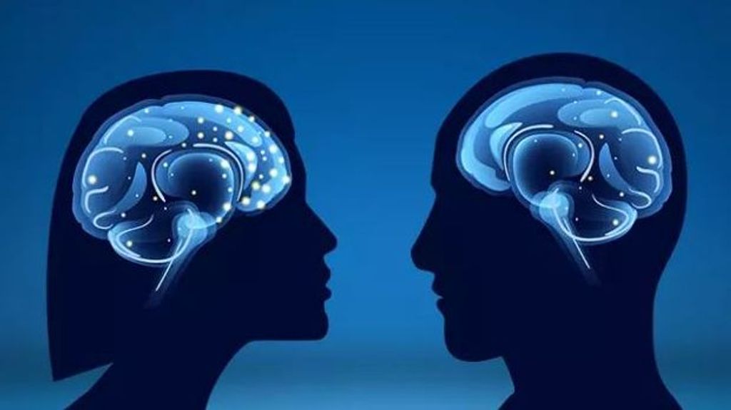 Casi 8.000 resonancias magnéticas revelan diferencias en los cerebros de mujeres y hombres