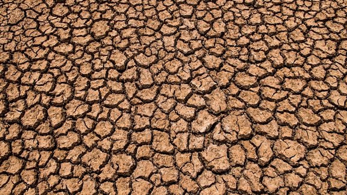 Los embalses vuelven a bajar: “Si no llueve, podrían haber cortes de agua en ciudades importante en otoño"