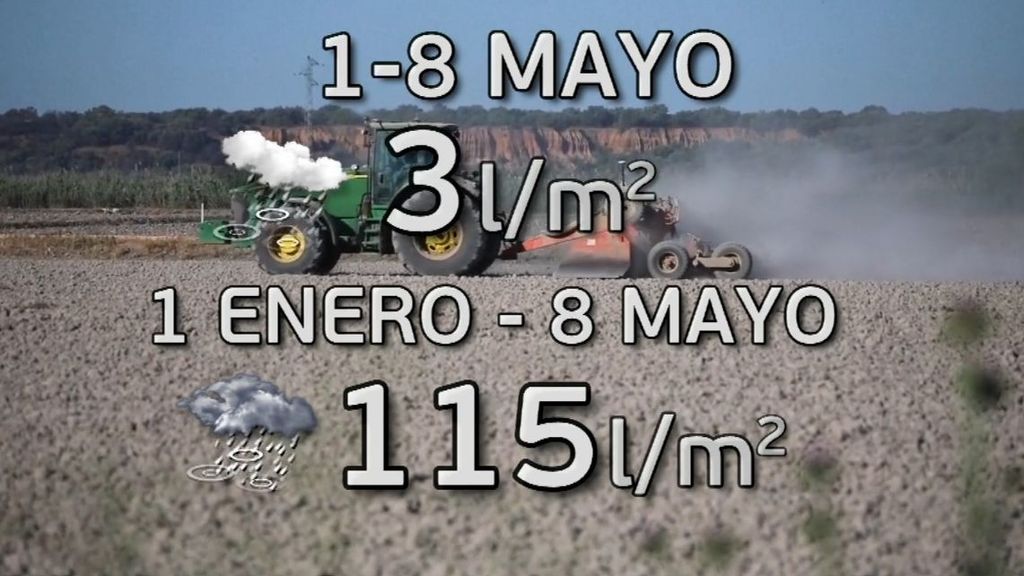 El panel de Alba Lago: El 60% del campo está afectado por la sequía