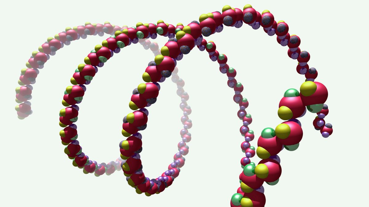 Pangenoma: el nuevo 'mapa' del genoma humano, más completo y útil, que ayudará a la medicina