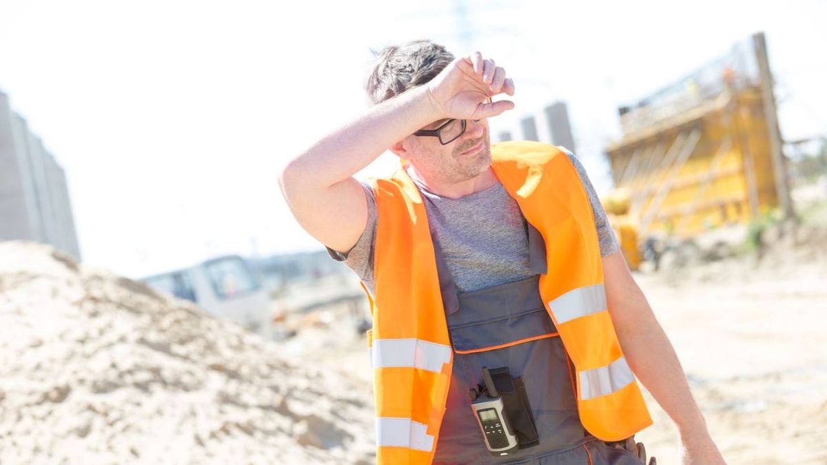 Perfil de los trabajadores más vulnerables a un golpe de calor Perfil de los trabajadores más vulnerables a un golpe de calor