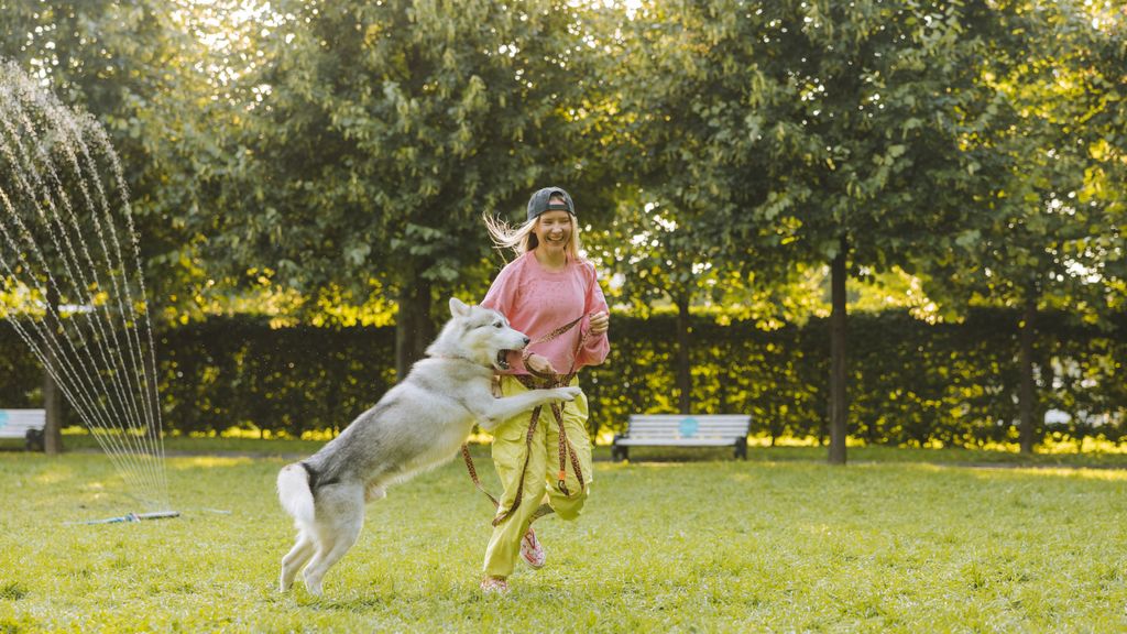 El adiestramiento ayuda a mejorar la relación con tu perro