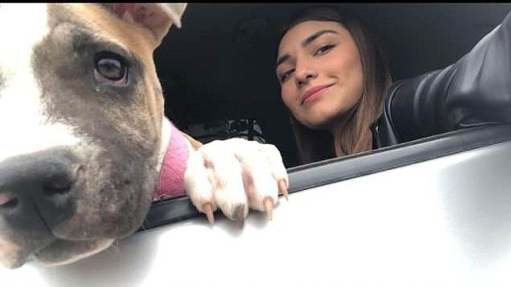 Una perrita muere de tristeza dos días después de que su dueña fallezca: "Camila ya está contigo"