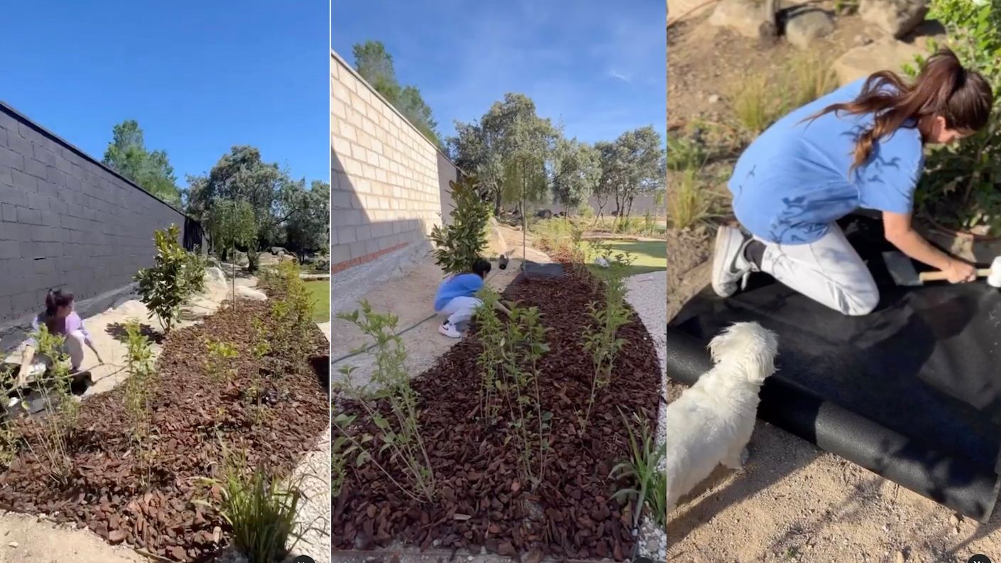 La colocación de la corteza también tiene su trabajo duro