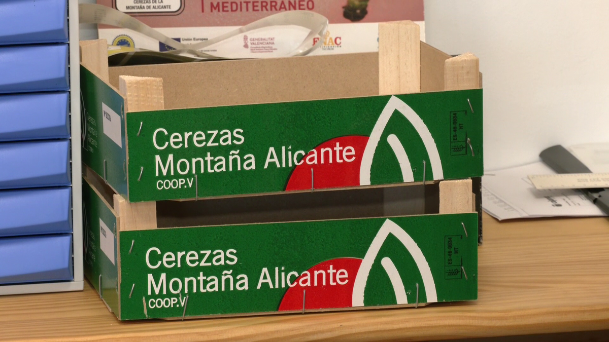 La cooperativa de cerezas de la Vall d´Ebo cierra ante la baja producción por la sequía y los incendios del pasado verano