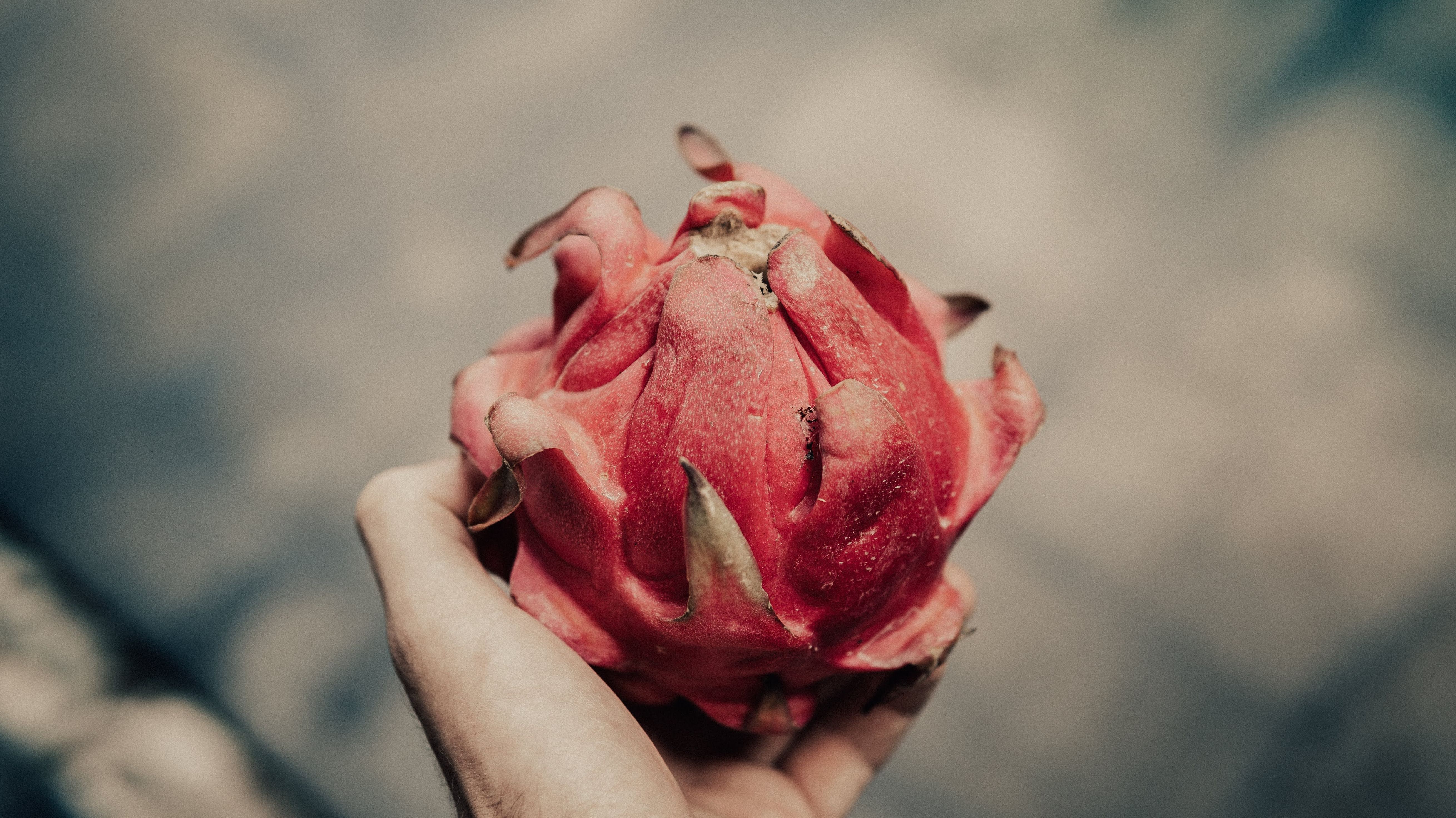 Seguro que a partir de ahora la sumas a tu dieta