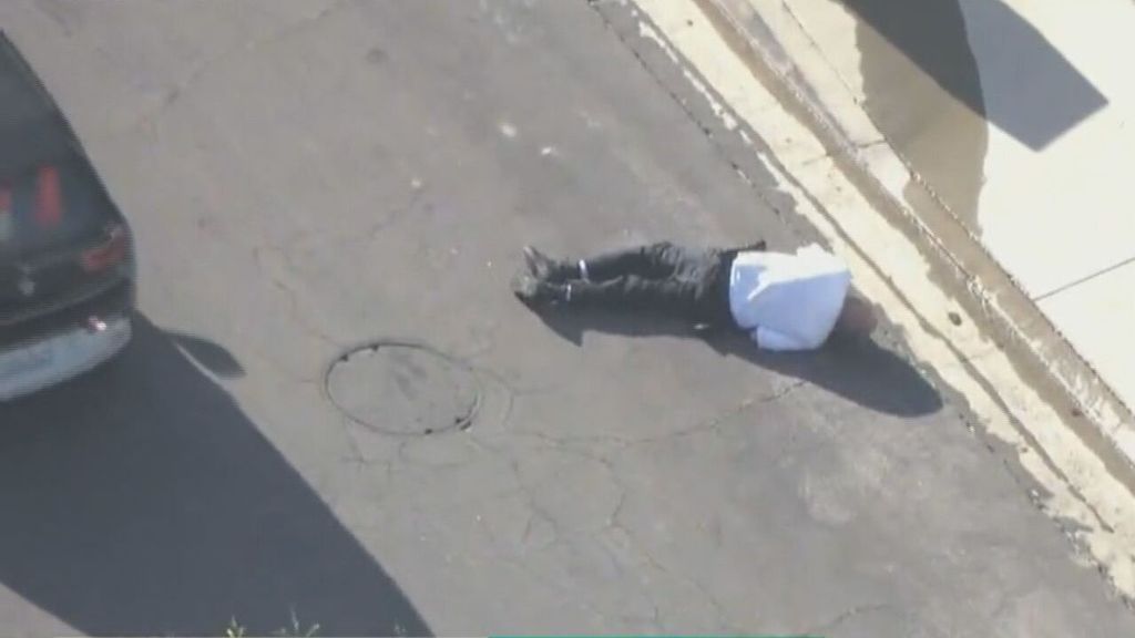 Un voluntario de la Policía de Los Ángeles colapsa y se desploma al ser atacado por un enjambre de abejas