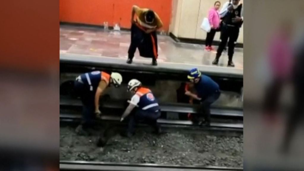Cómica escena en el metro de Ciudad de México: una gallina provoca la paralización del servicio