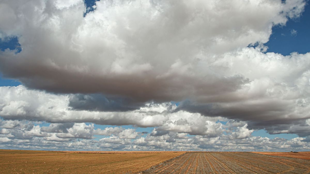 Las lluvias se prolongarán hasta fin de mayo y pueden salvar cultivos, sin solucionar la sequía: "Será un pequeño alivio"