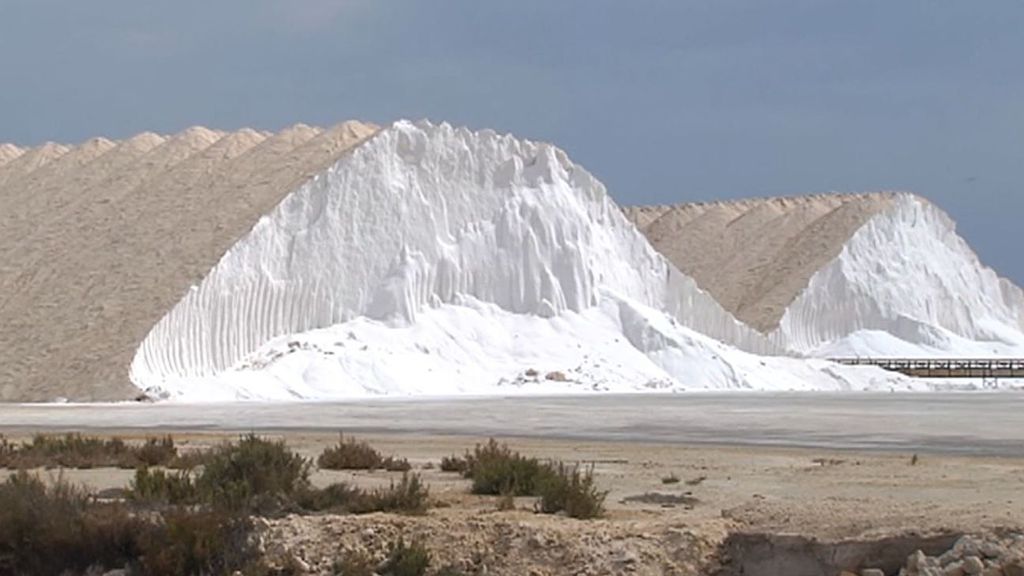 Un grupo de investigadores halla un pigmento anticáncer en las salinas de Santa Pola