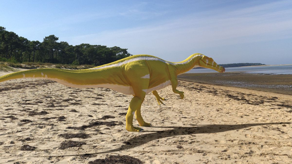 Campeón, el nuevo dinosaurio de 11 metros de largo descubierto en la provincia de Castellón