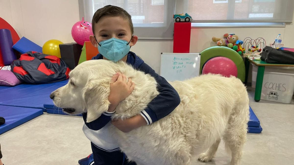 El Hospital Vithas Valencia Consuelo ofrece terapia asistida con perros a sus pacientes pediátricos oncológicos