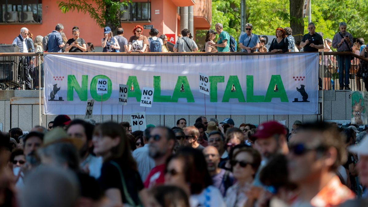 Protesta contra la tala de árboles para ampliar el Metro de Madrid