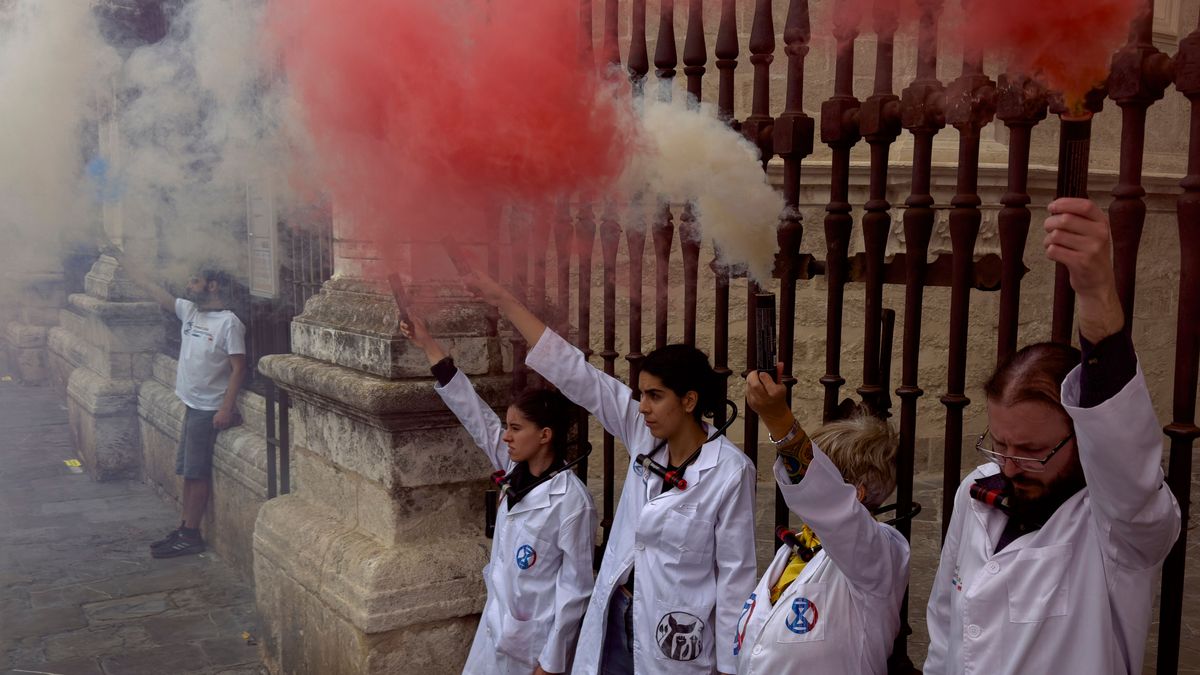 Activistas científicos se encadenan a la catedral de Sevilla en defensa de Doñana