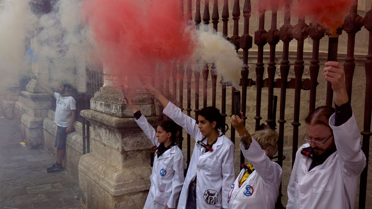 Activistas científicos se encadenan a la catedral de Sevilla en defensa de Doñana Activistas científicos se encadenan a la catedral de Sevilla en defensa de Doñana