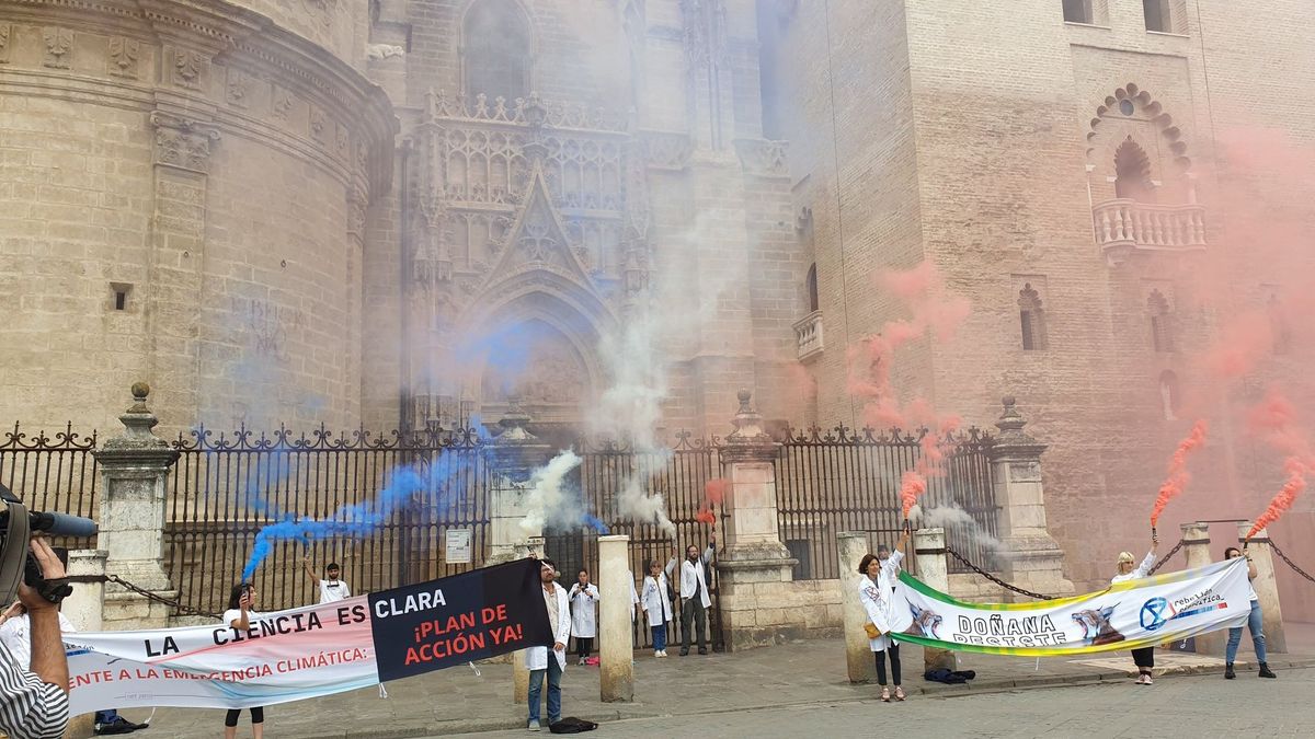 Una organización se encadena a la Catedral de Sevilla para protestar por la "sobreexplotación" de Doñana