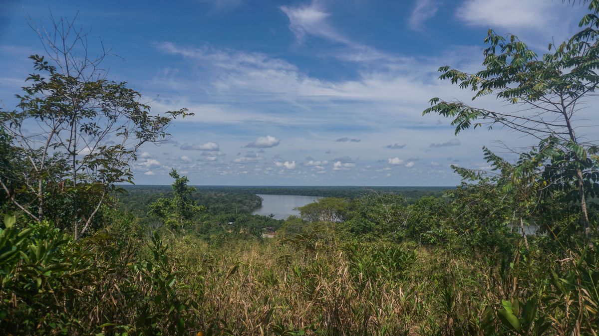 Continúa la búsqueda de cuatro menores en la selva de Colombia: "Soy su abuelita. Los están buscando"