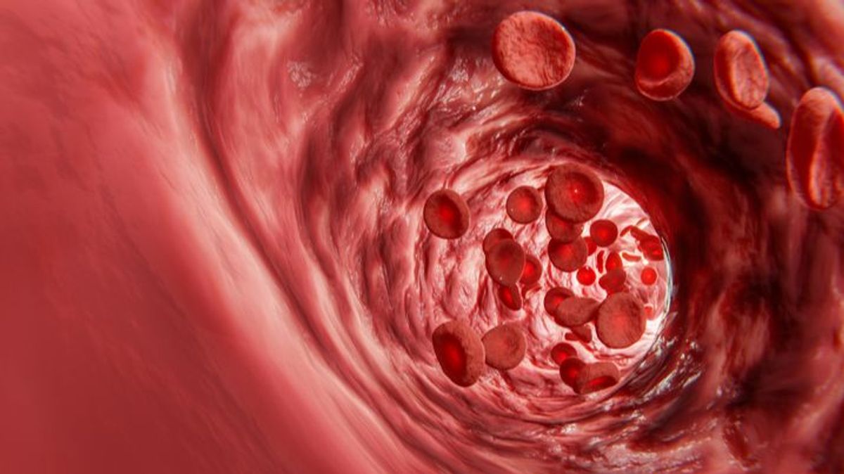 Diseñan un vaso sanguíneo con colágeno capaz de sustituir a las arterias humanas