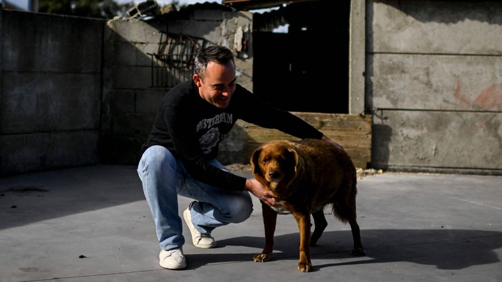 Bobi, el perro más longevo