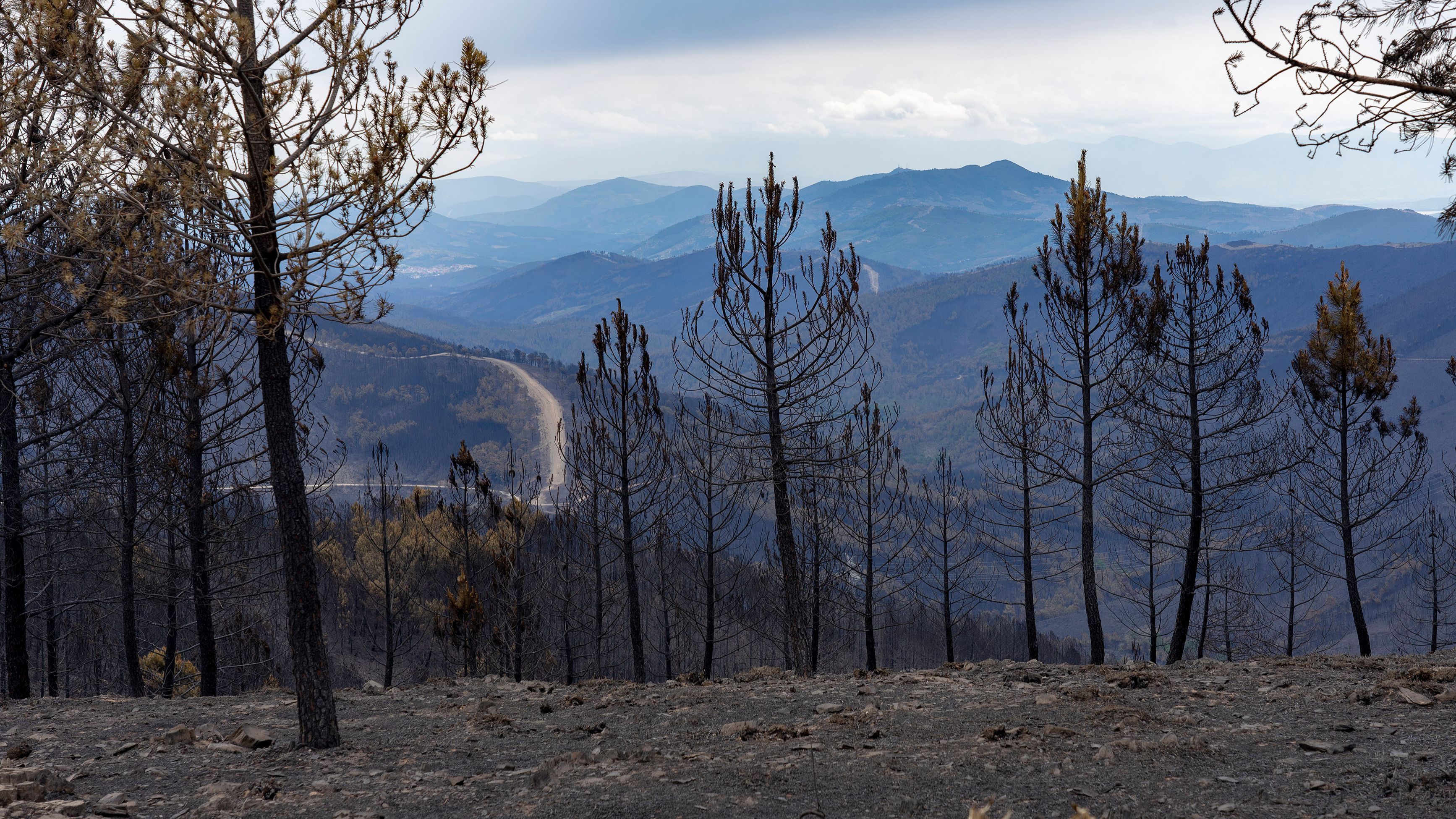 Forest fires break data in Spain till April: twice as many have burned as final 12 months