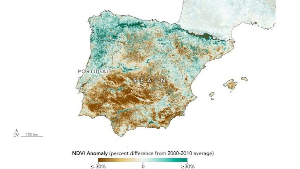 Anomalías en el Índice de vegetación de diferencia normalizada (NDVI)