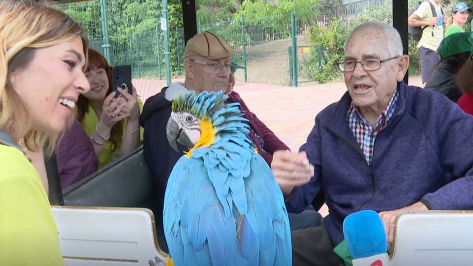 La excursión de una residencia de ancianos al Zoo de Madrid