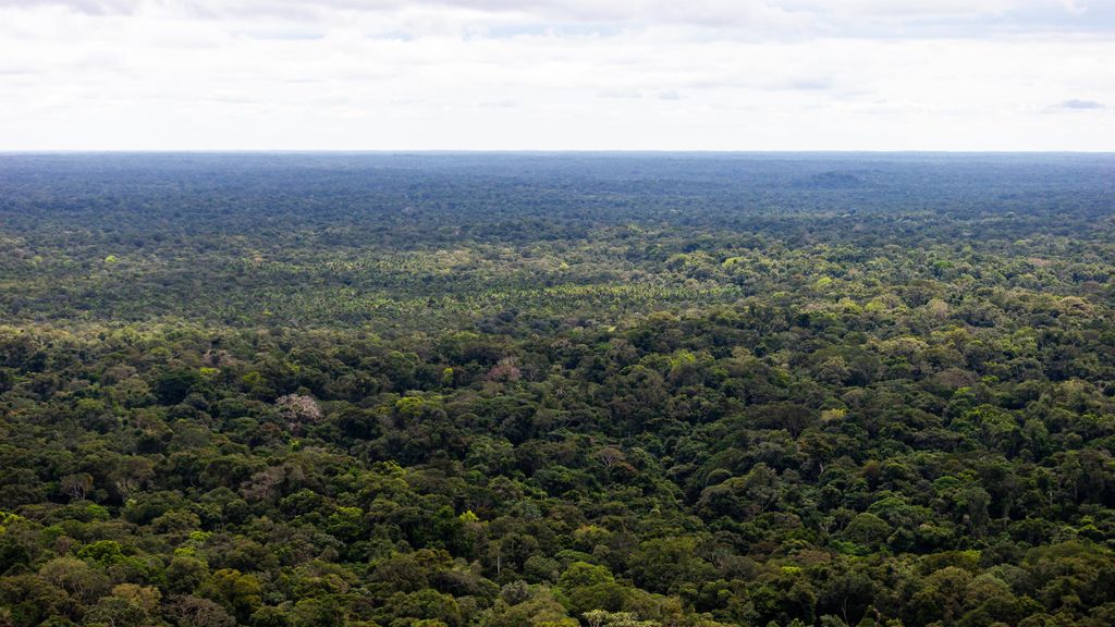 La bebé desaparecida junto a sus hermanos en la selva de Colombia tras un accidente aéreo cumple un año