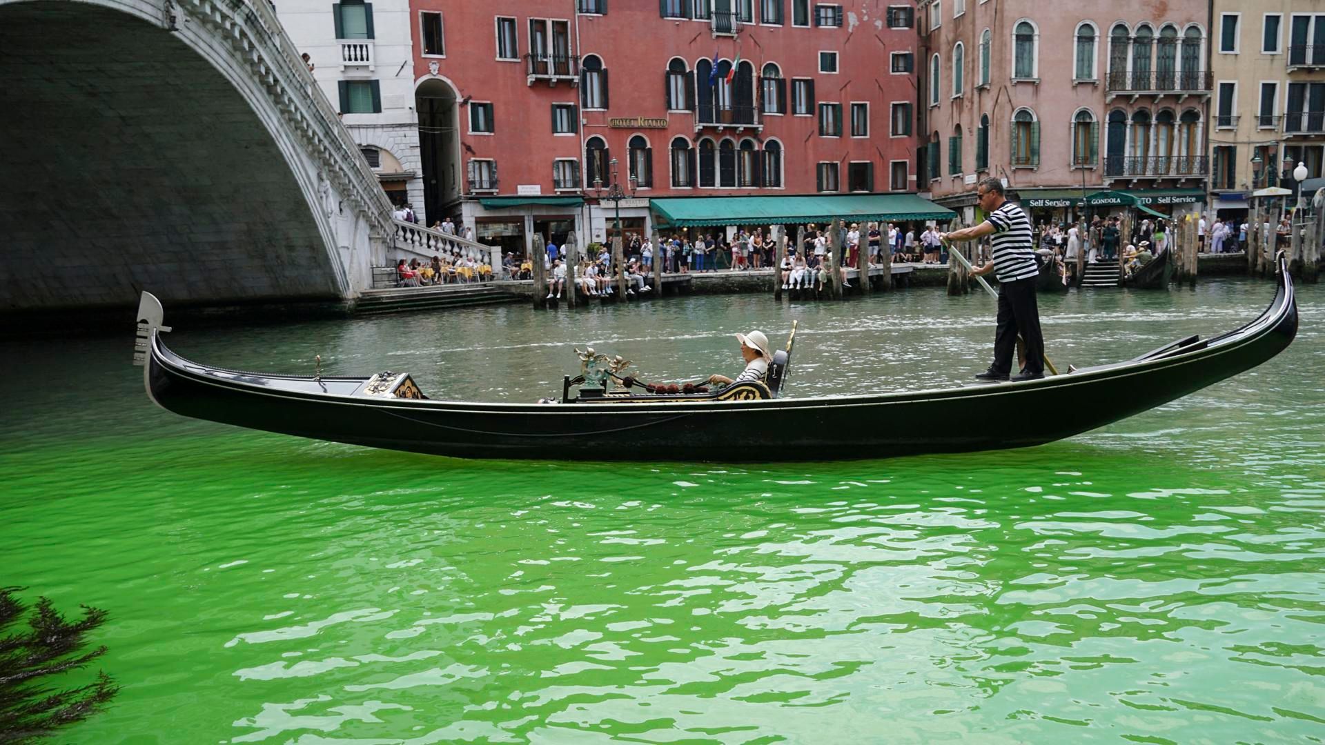 El agua del Gran Canal de Venecia se tiñe de un intenso color verde