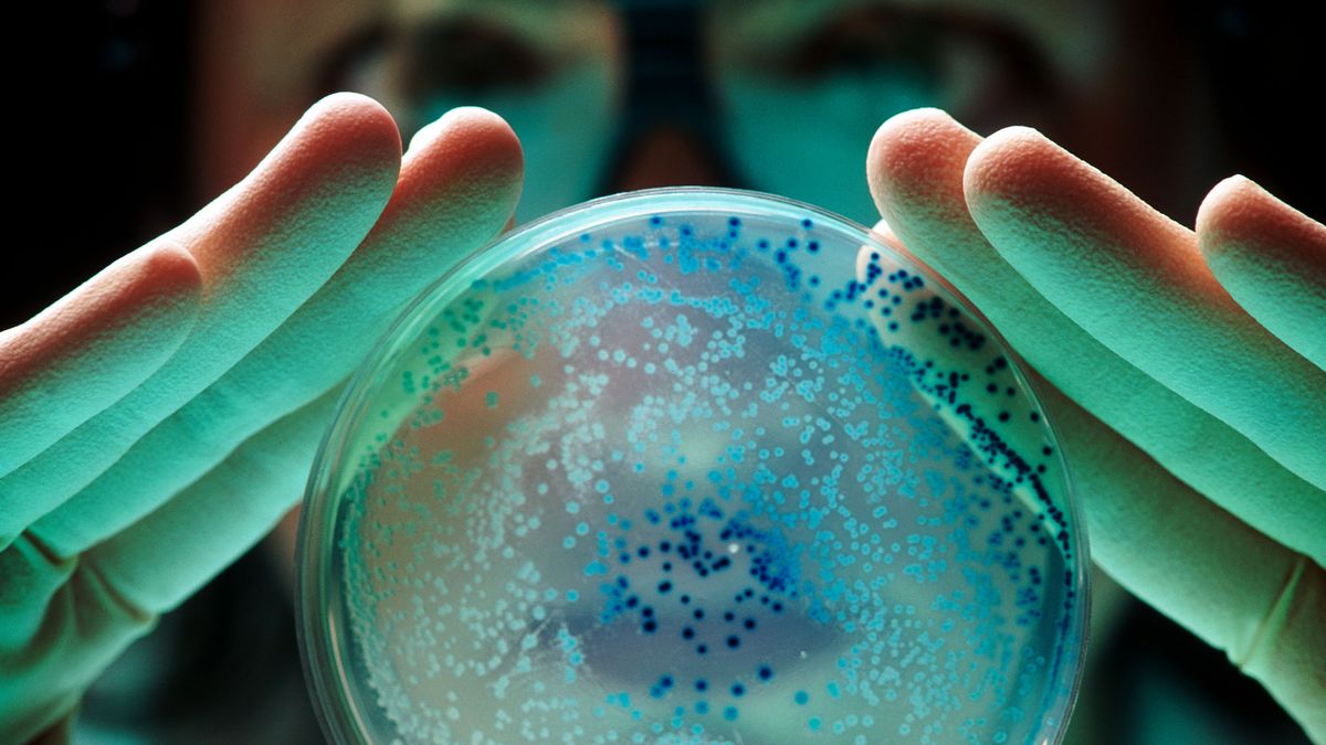 Investigador con una muestra de cultivo de bacterias