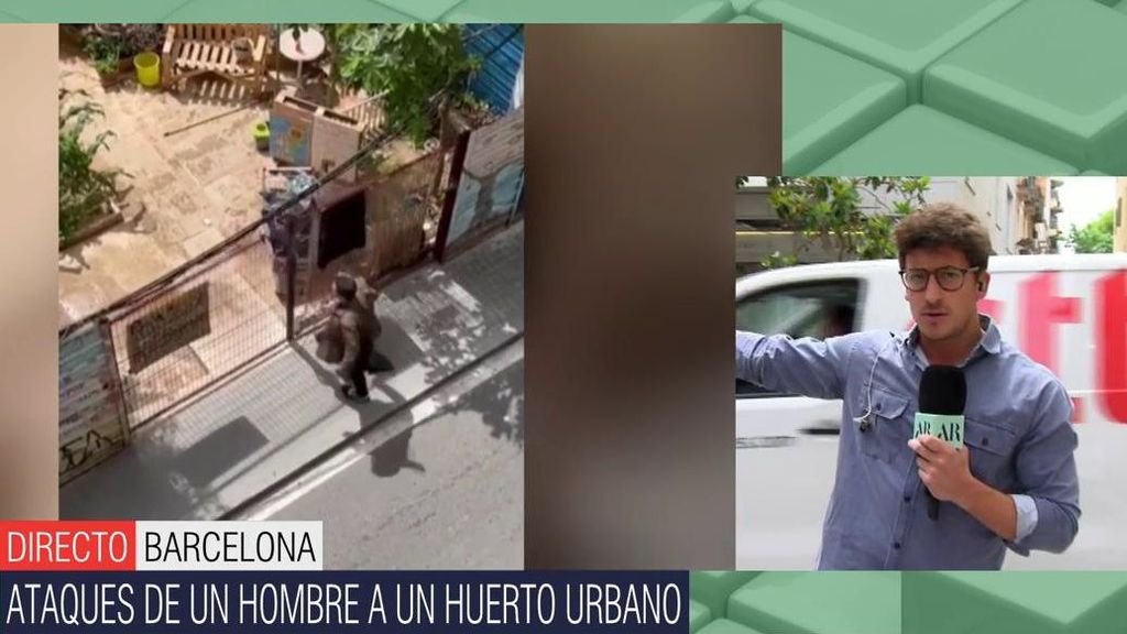 Los ataques de un hombre a un huerto urbano de okupas en Barcelona