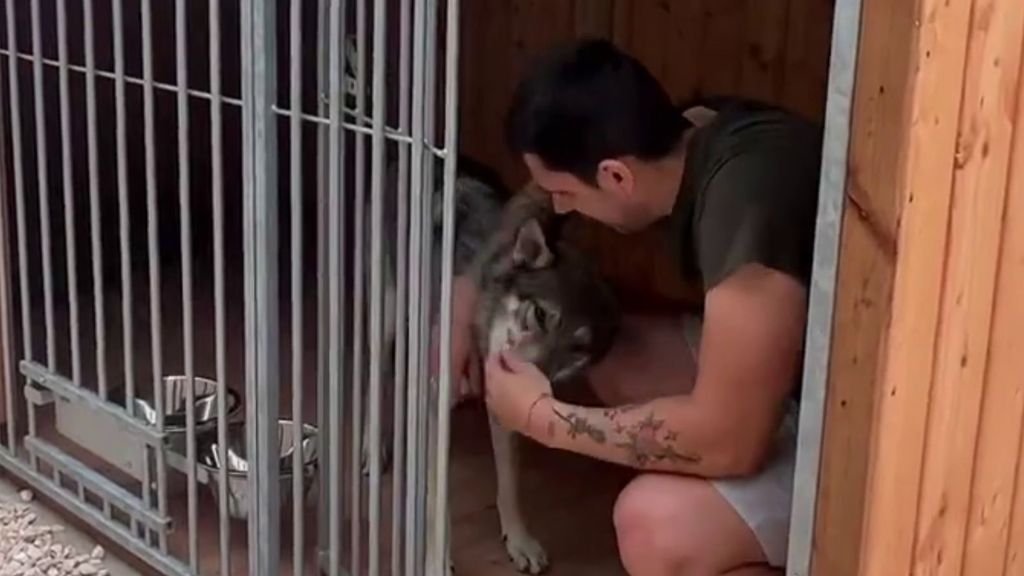 Diego Matamoros enseña la impresionante "jaula" que le ha construido a su perro