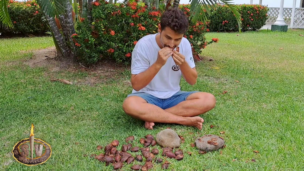 Alex Suárez prueba una almendra