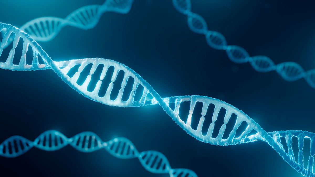 Gran avance para la biología: descubren por primera vez que el ADN humano es capaz de auto repararse