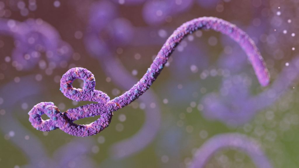 Ilustración digitalizada del virus del ébola