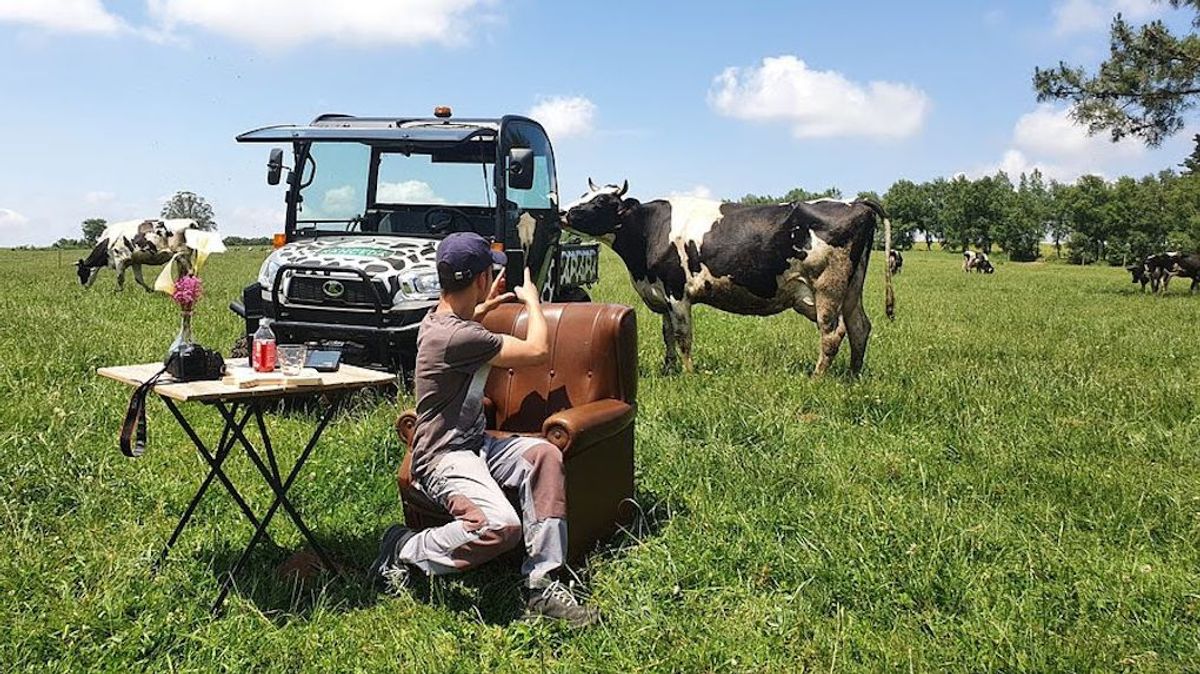 Un joven fotografiando a una de las vacas de la explotación.