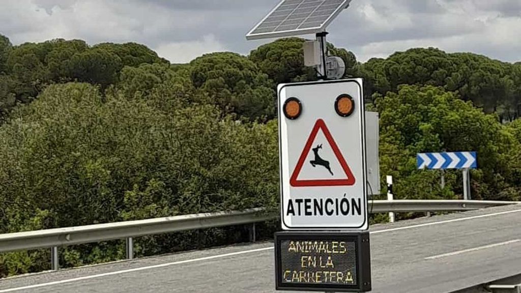 Dispositivo para evitar el atropello de animales