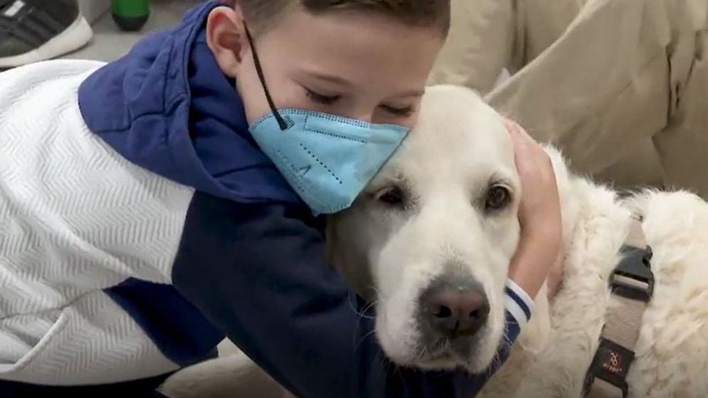 Los sorprendentes avances que aporta la compañía canina como terapia para los pacientes oncológicos