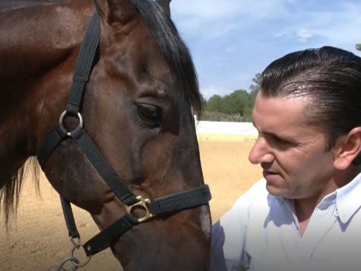 El retiro dorado de Nazarí, el mejor caballo de la historia taurina