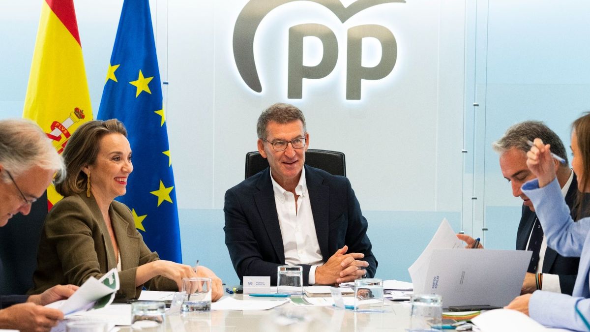 Alberto Núñez Feijóo preside la reunión del Comité de Dirección del PP