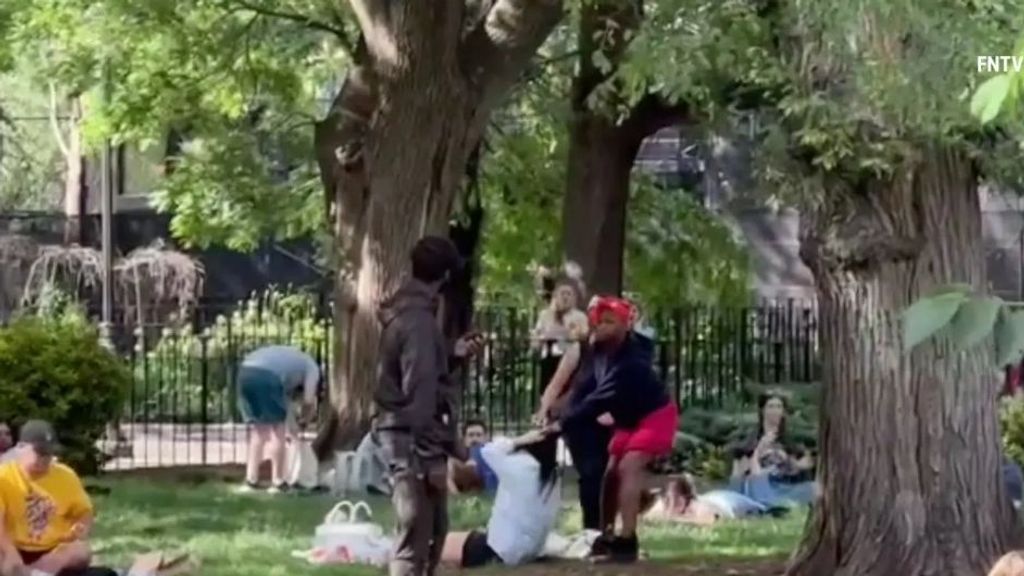Una mujer siembra el pánico en un parque de Nueva York: