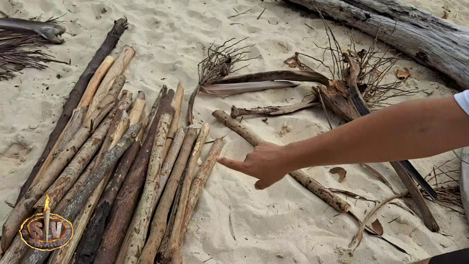 La madera de Cayo Paloma