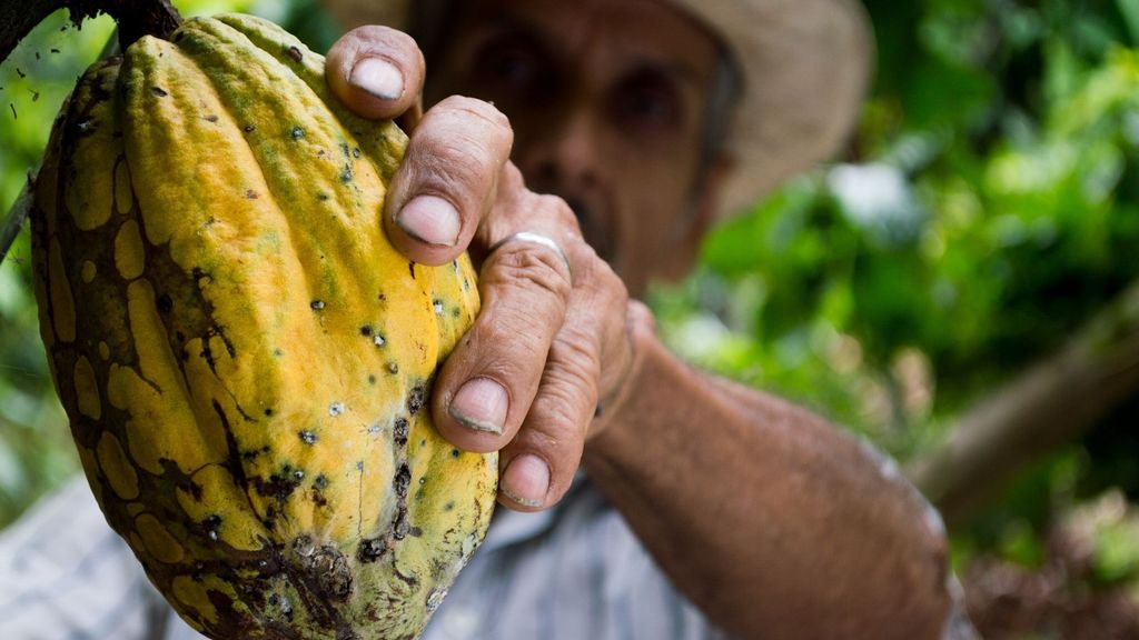 ¿Cuál es el origen del cacao?